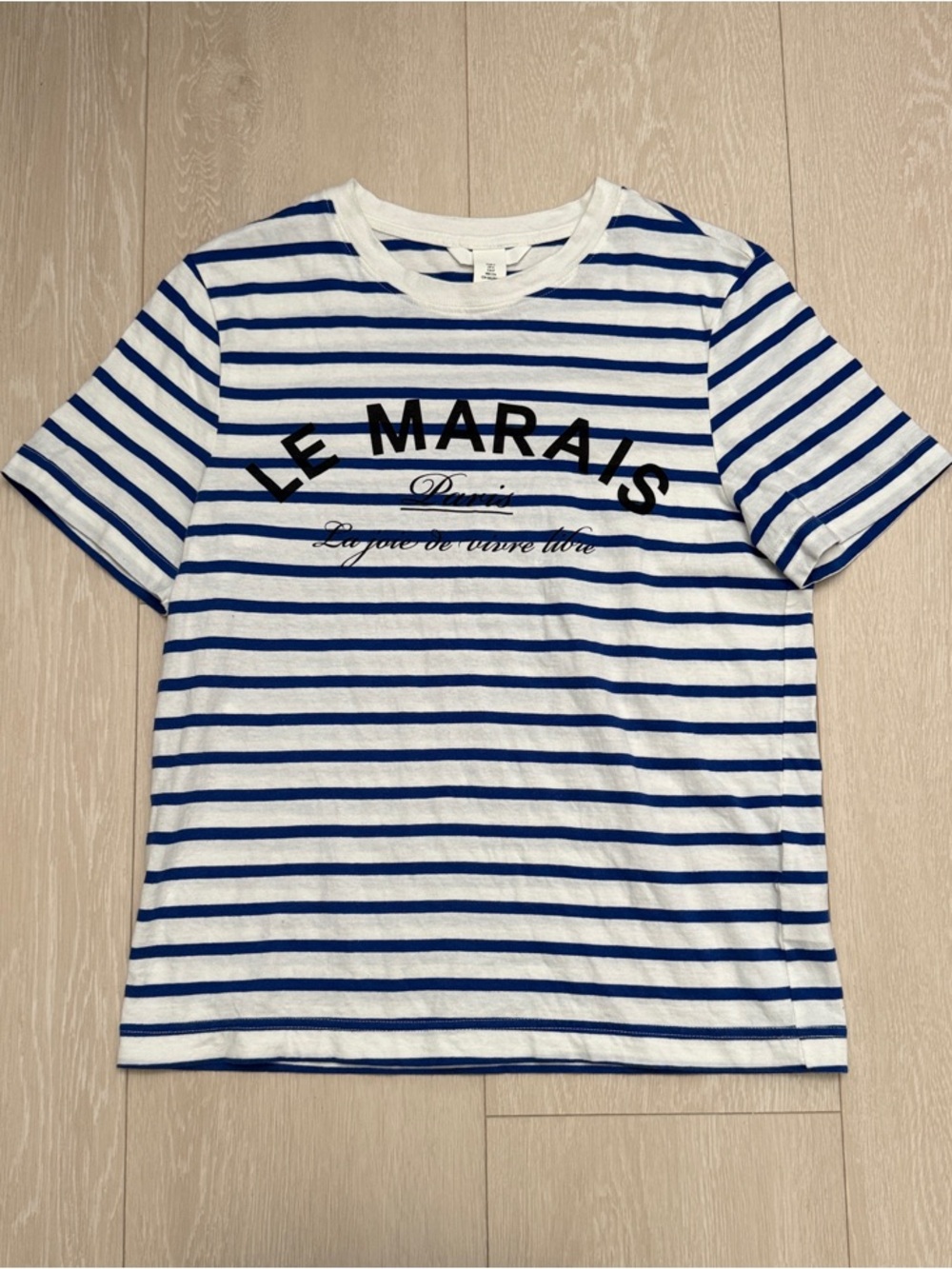 H&M Blue & White Striped Short Sleeve Tee with Le Marais Chest Print